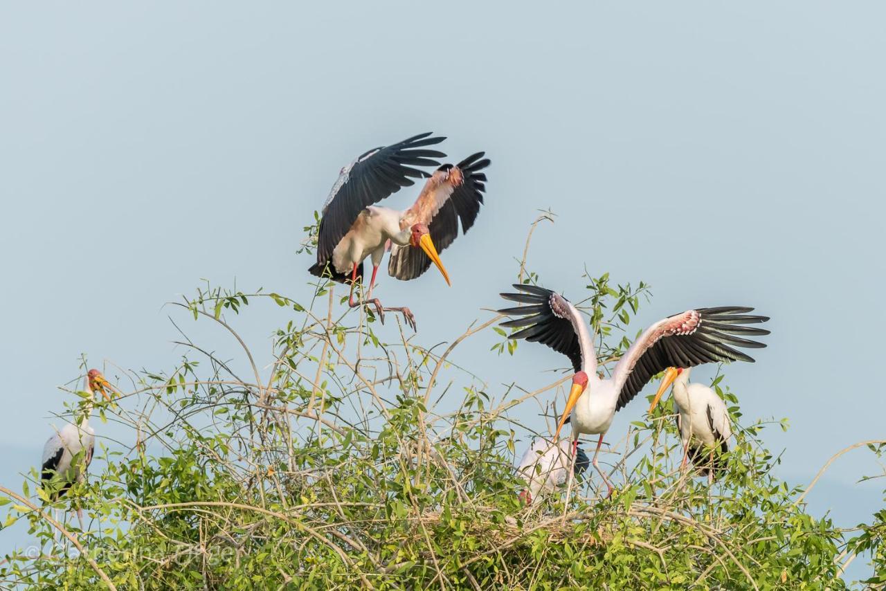 Lake Natron Maasai Giraffe Eco Lodge And Camping Mtowabaga المظهر الخارجي الصورة