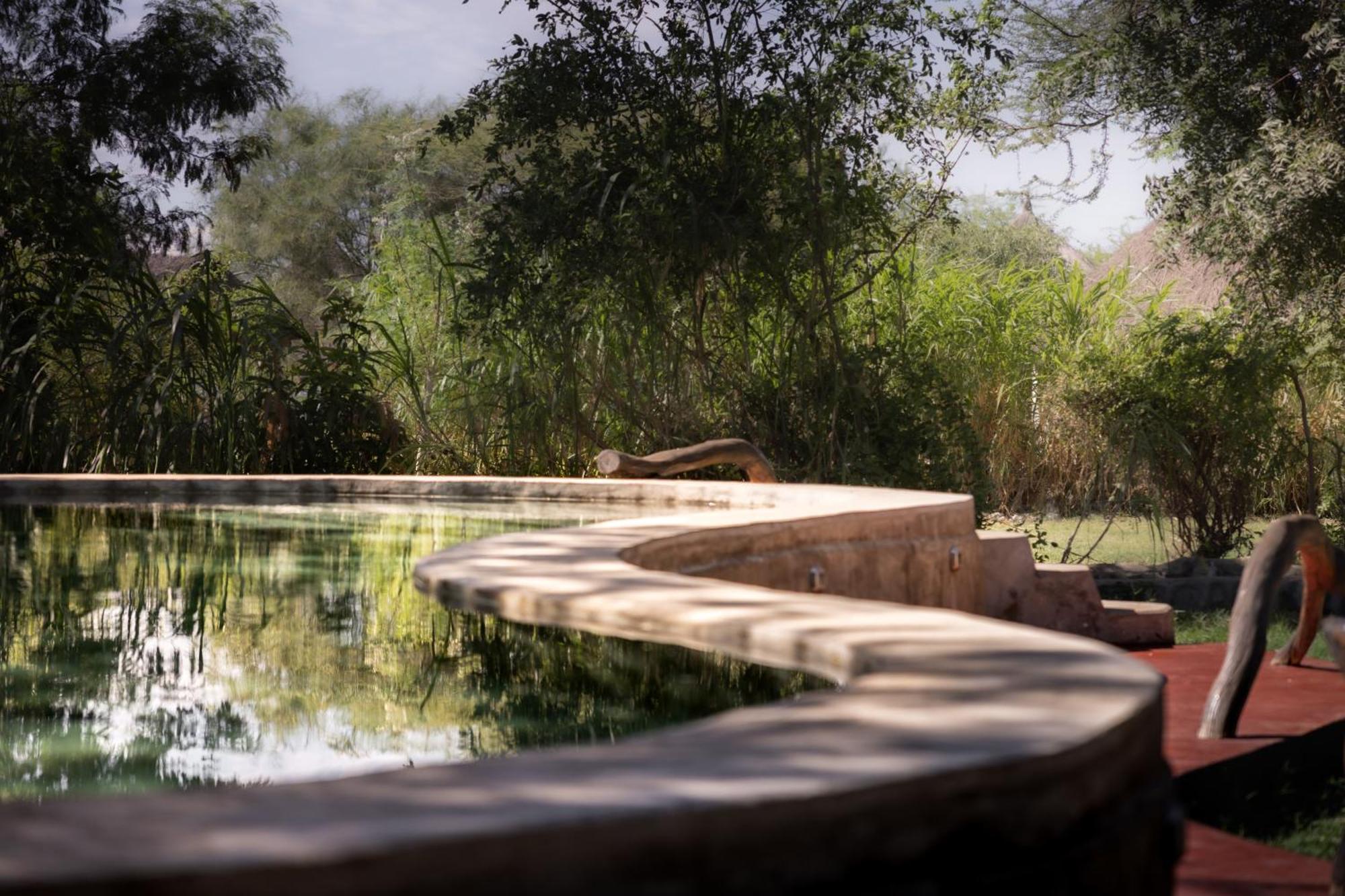 Lake Natron Maasai Giraffe Eco Lodge And Camping Mtowabaga المظهر الخارجي الصورة