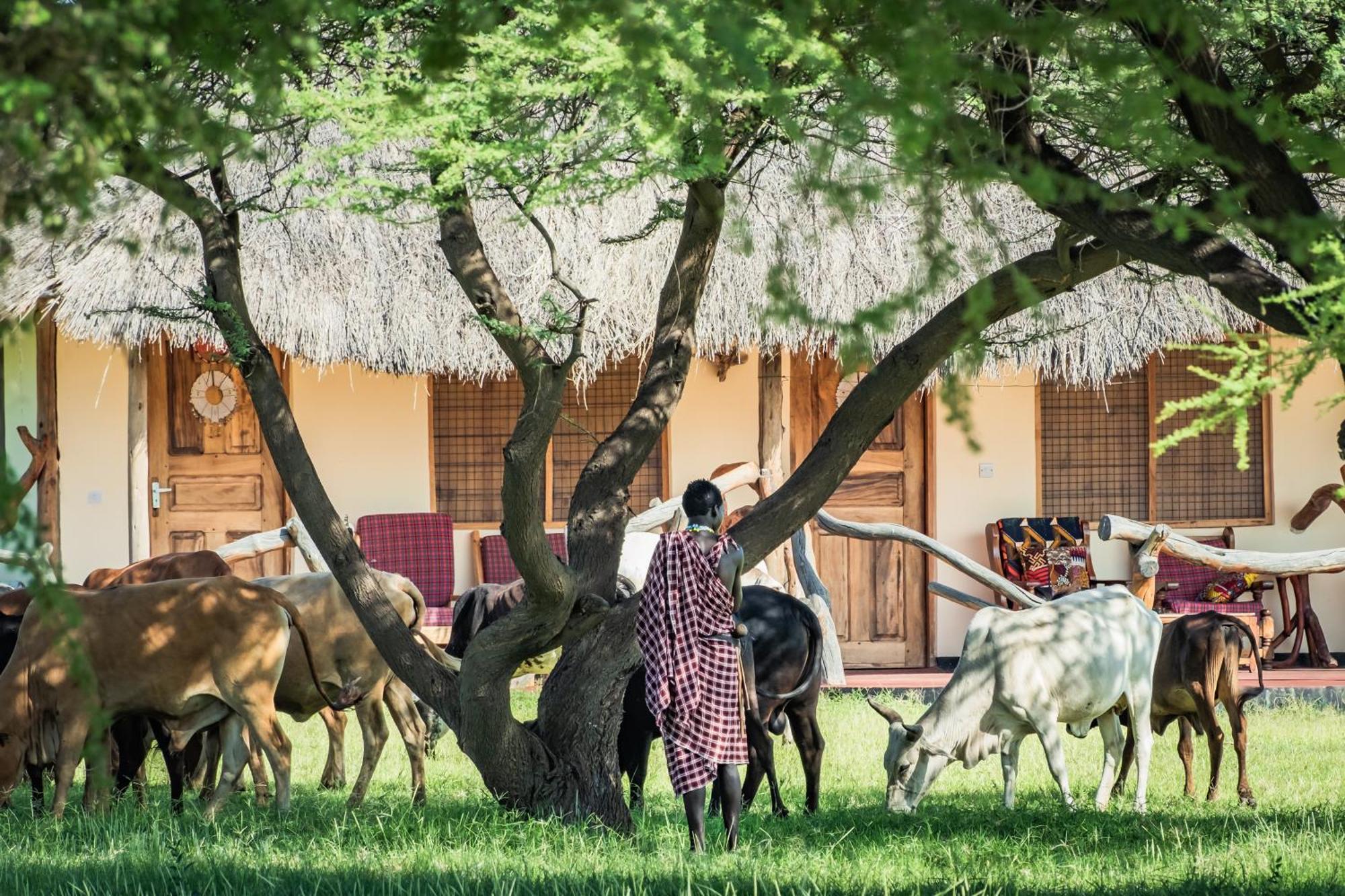 Lake Natron Maasai Giraffe Eco Lodge And Camping Mtowabaga المظهر الخارجي الصورة